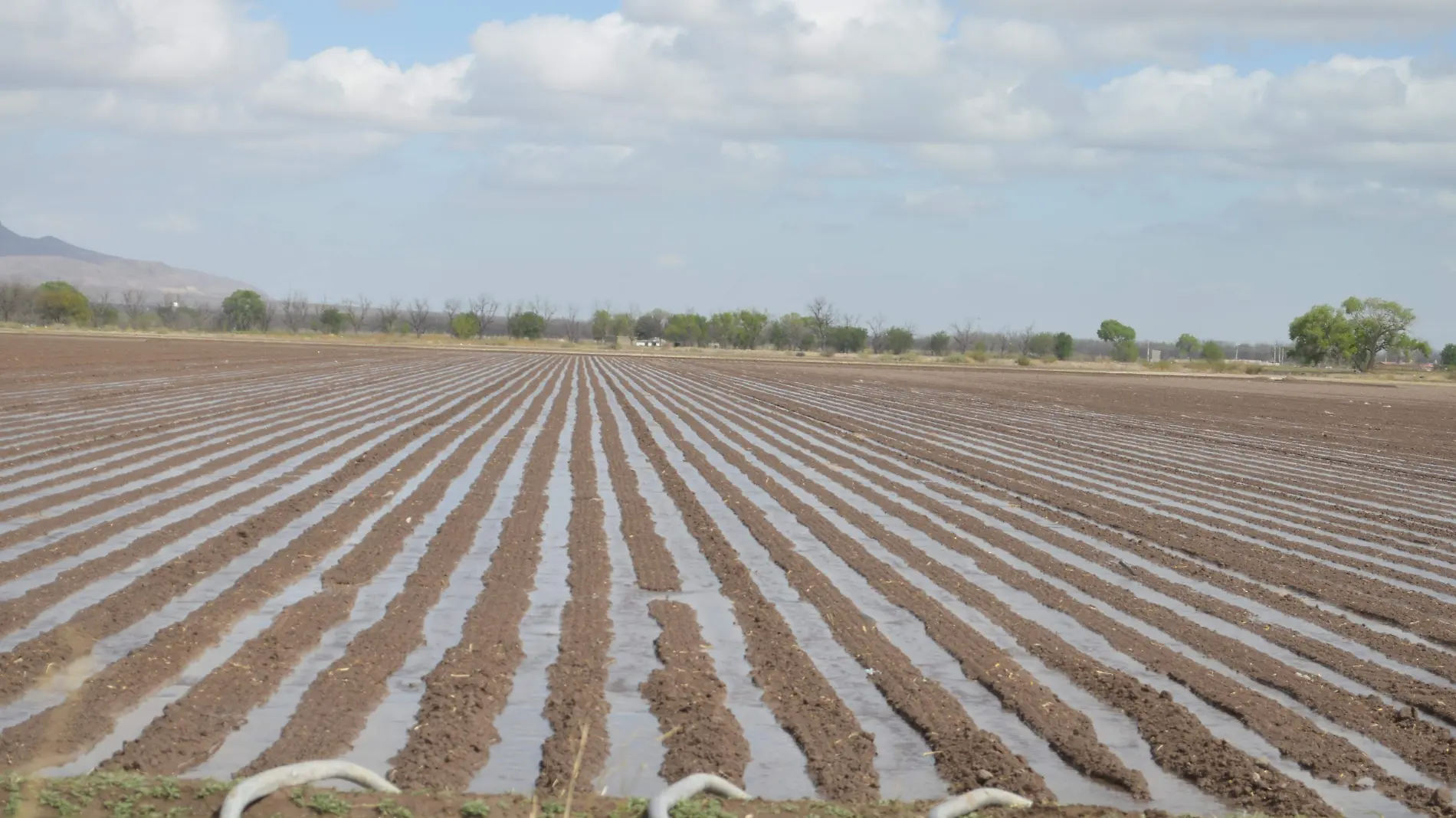 Proponen tecnificación del Distrito de Riego